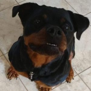 Meet your Posher, Wendylee